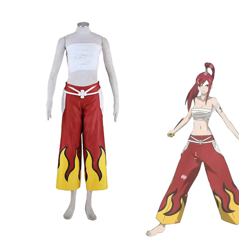 Fairy Tail Erza Scarlet Cosplay Costume