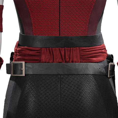 Daredevil Reborn Elektra Cosplay Costume
