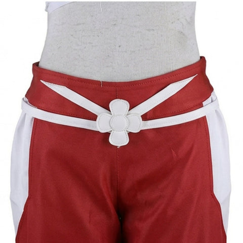 Fairy Tail Erza Scarlet Cosplay Costume