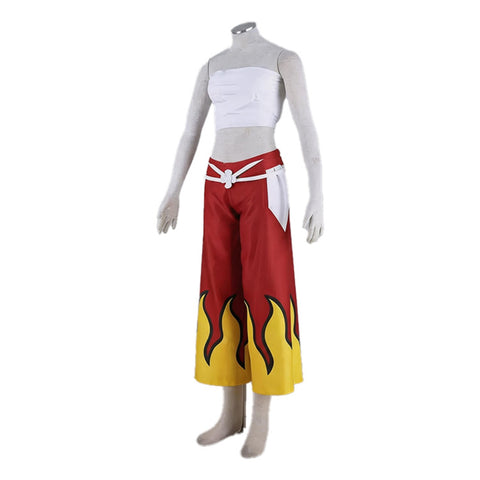Fairy Tail Erza Scarlet Cosplay Costume