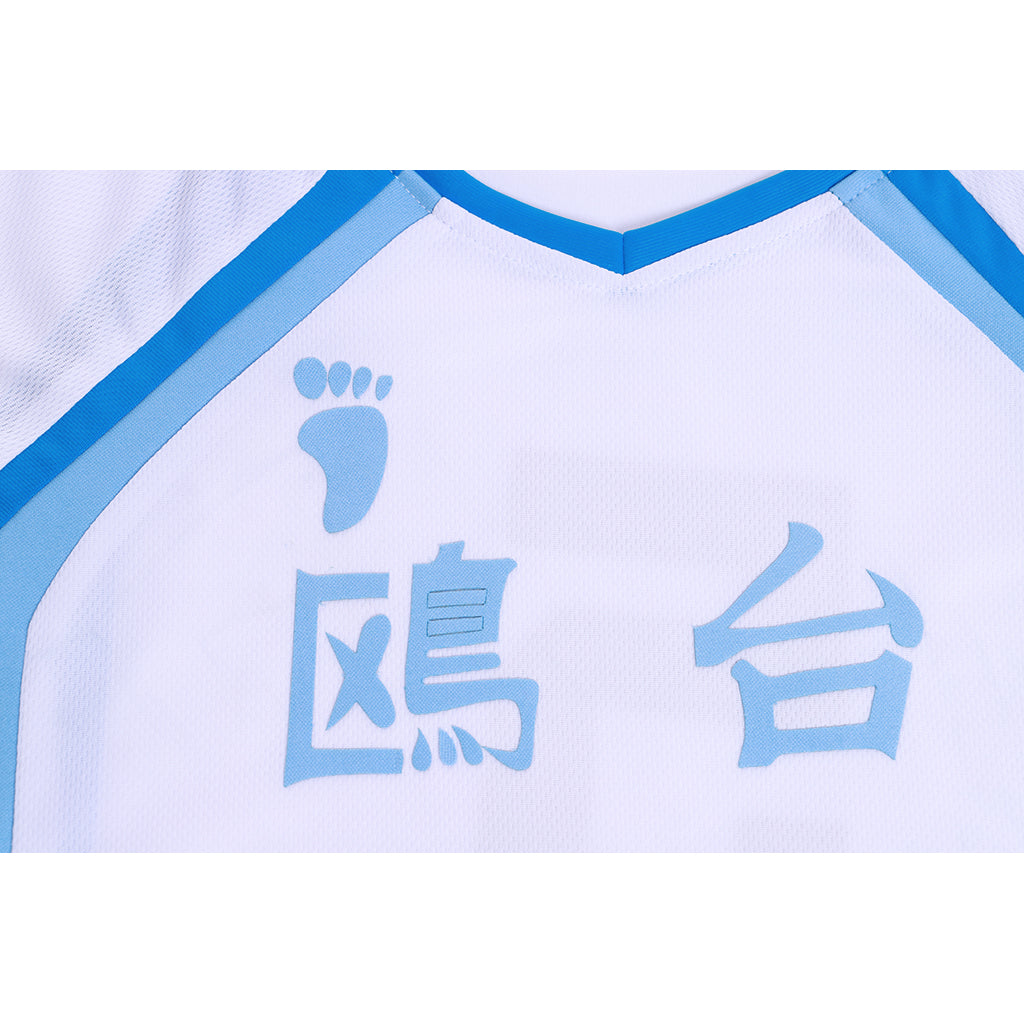 Anime Haikyuu!! Korai Hoshiumi Cosplay Volleyball Jersey Set