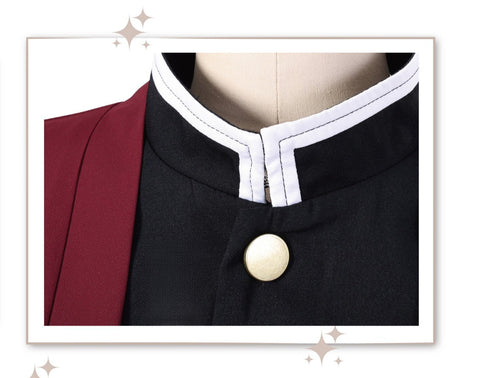 Demon Slayer: Kimetsu no Yaiba Giyuu Tomioka Cosplay Costume, High - Quality Outfit Embroidered Version - Coscosmos
