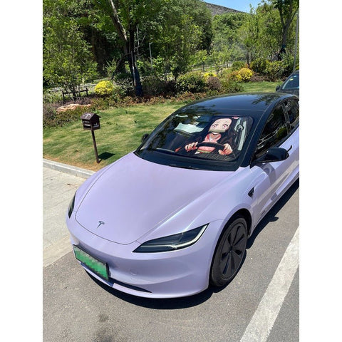 Demon Slayer Kimetsu no Yaiba Tanjiro Kamado Nezuko Car Sunshade - Coscosmos