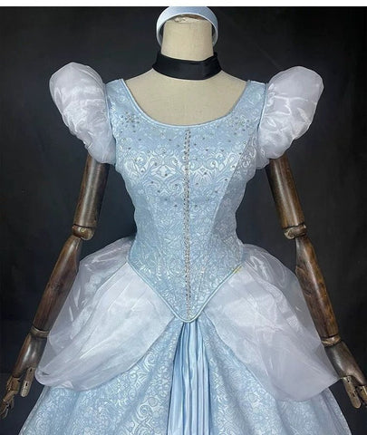 Disney Cinderella Cosplay Costume for Adults - Coscosmos