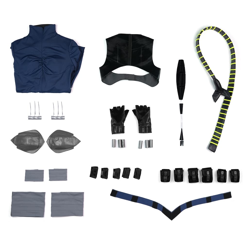 Felicia - Absolute Catwoman Premium Complete Cosplay Costume Full Set with Accessories - Coscosmos