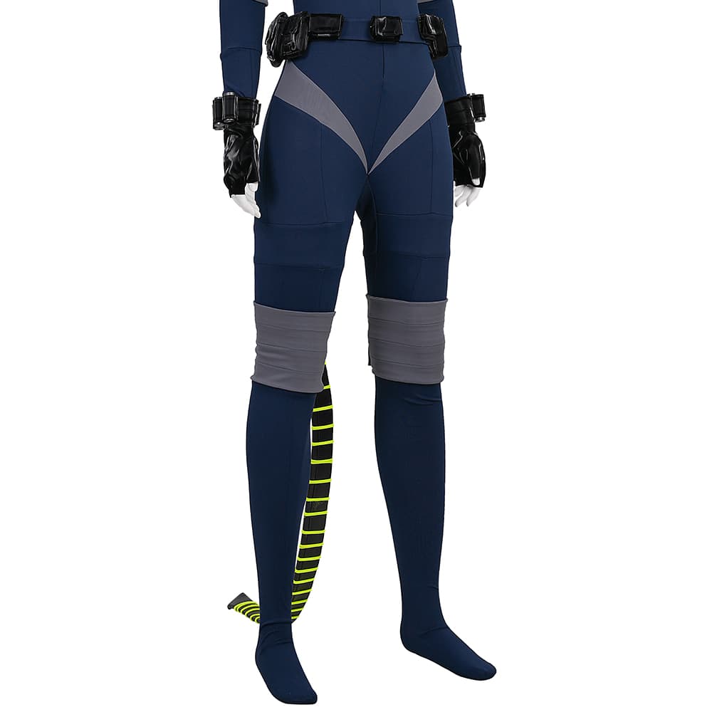 Felicia - Absolute Catwoman Premium Complete Cosplay Costume Full Set with Accessories - Coscosmos