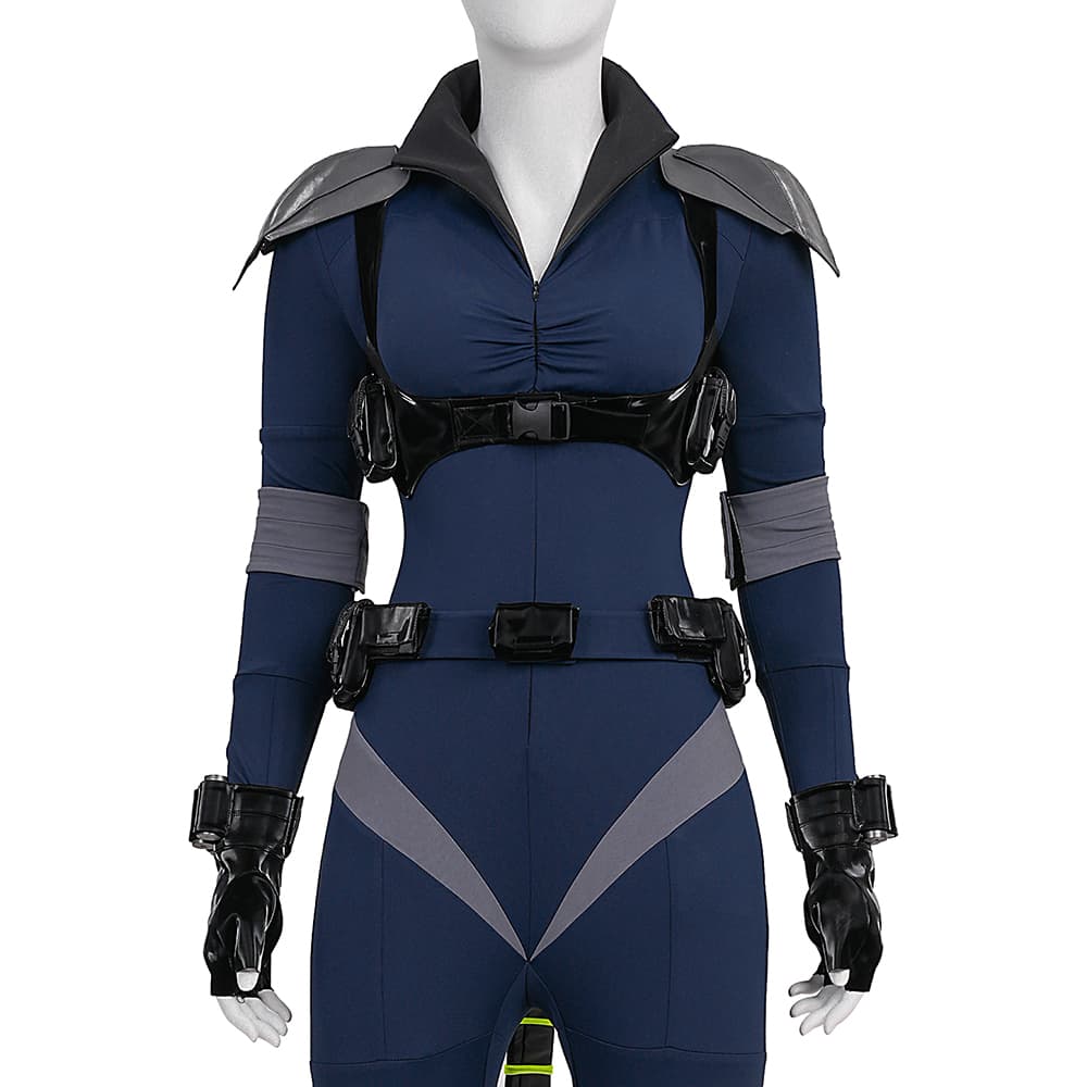 Felicia - Absolute Catwoman Premium Complete Cosplay Costume Full Set with Accessories - Coscosmos