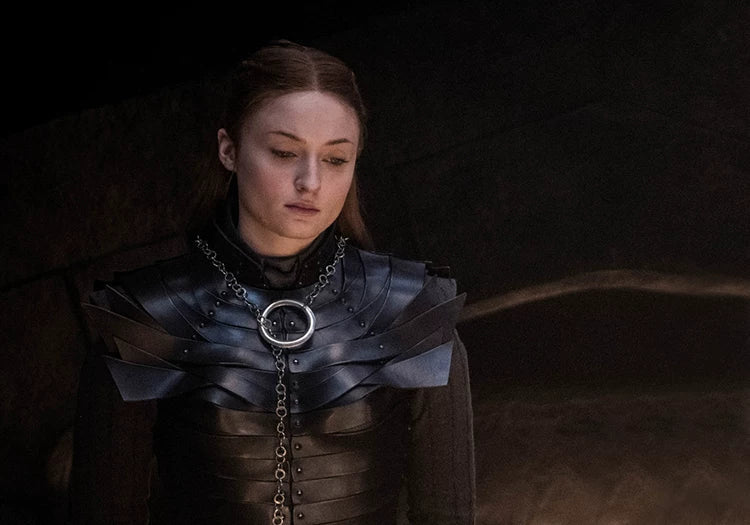 Game of Thrones Season 8 Sansa Stark Cosplay Full Set Outfit, A Song of Ice and Fire Same Style Medieval Costume for Women - Coscosmos
