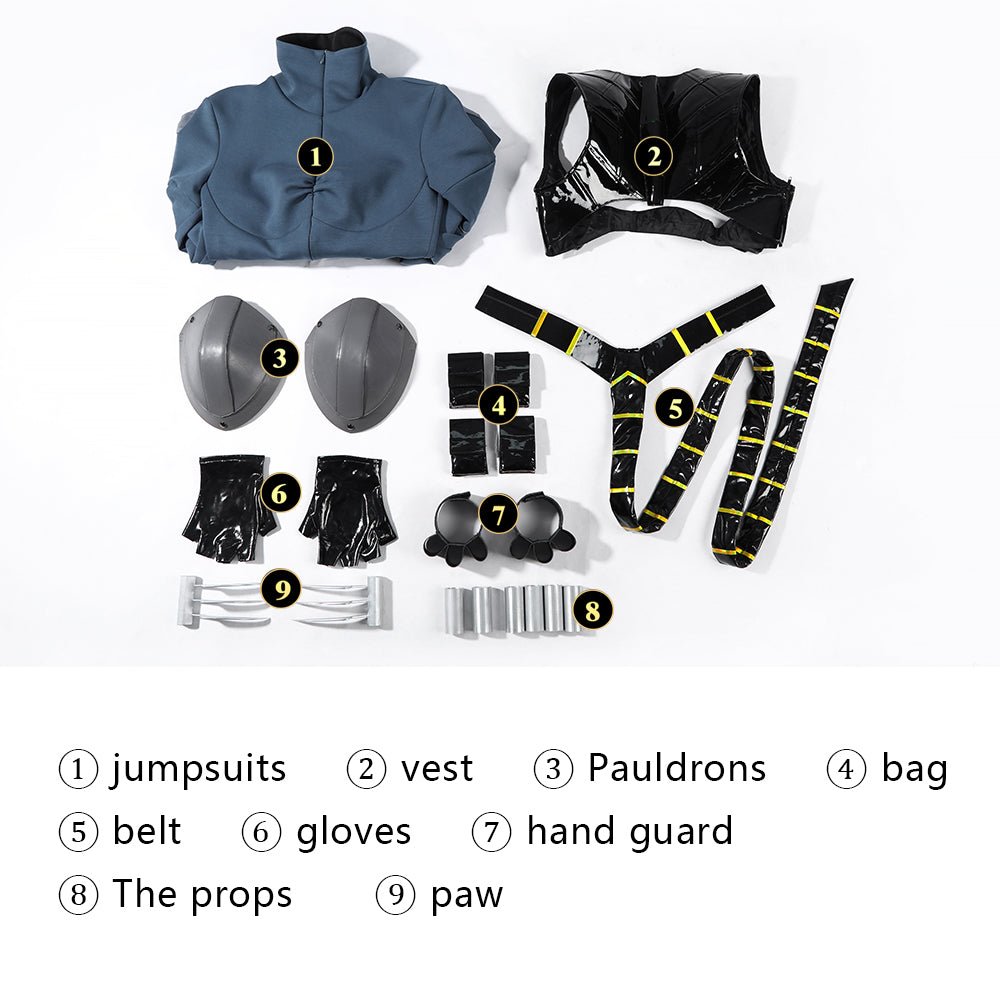 Premium Absolute Catwoman Suit Full Costume Set for Cosplay & Halloween - Coscosmos