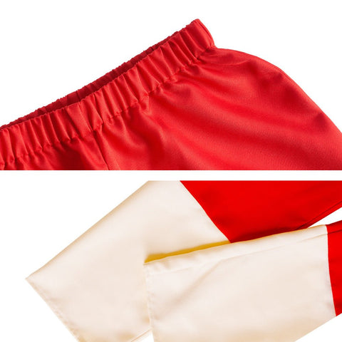 Super Dragon Ball Heroes Chi - Chi Cosplay Costume - Coscosmos