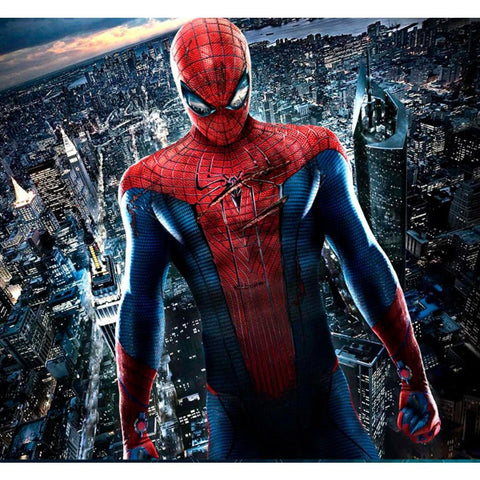 The Amazing Spider-Man Peter Parker Cosplay Costume - Coscosmos