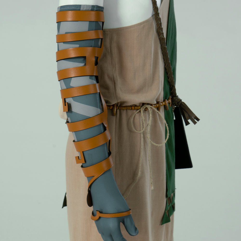 The Legend of Zelda: Tears of the Kingdom Link Cosplay Costume - Coscosmos