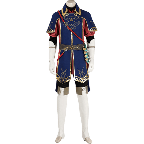 The Legend of Zelda: Tears of the Kingdom Link Royal Guard Cosplay Costume - Coscosmos