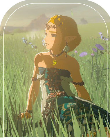 The Legend of Zelda: Tears of the Kingdom Princess Zelda Cosplay Costume - Coscosmos